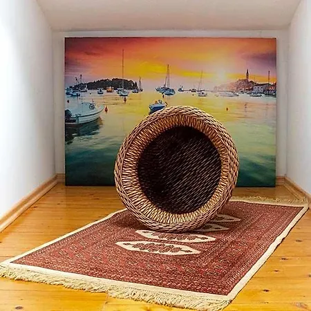 Apartament Pilicari *